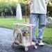 Große, transparente Transportbox für zwei Katzen, ideal für Ausflüge im Freien; auch als Hunde-Reisetasche geeignet_voghion.com