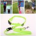 Pet Running Outdoor Leash Suitable For Morning Jogging Fitness Dog Walking_voghion.com