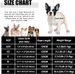 Katzengeschirr Geschirr Mit Leine Ausbruchsicher Weich Mesh Welpengeschirr Reflektierend Verstellbar Katzen Weste Für Kleine Hunde Katzen Chihuahua_voghion.com