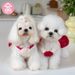 Weichong Town Spring Summer Flowing Gauze Bowknot A-line Shih Tzu Bichon Teddy Short Skirt_voghion.com