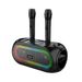 ZQS4247 Tragbarer Bluetooth-Lautsprecher mit zwei kabellosen Mikrofonen für den Außenbereich, für Zuhause, Karaoke, Live-Guide-Audio_voghion.com