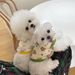 Herbst Neue Haustier Bichon Kleidung Teddy Schnauzer Pommerschen Pudel Kleine Hund De Rong Baumwolle Weste_voghion.com