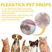YEGBONG Pet Extracorporeal Insect Repellent Drops, Cat And Dog Cleansing Extracorporeal Flea Lice Tick Skin Anti-Itching Care_voghion.com