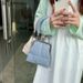 2024 Early Spring New Handheld Casual Instagram Small Design Korean Clip Women's Chain Single Shoulder Diagonal Straddle_voghion.com