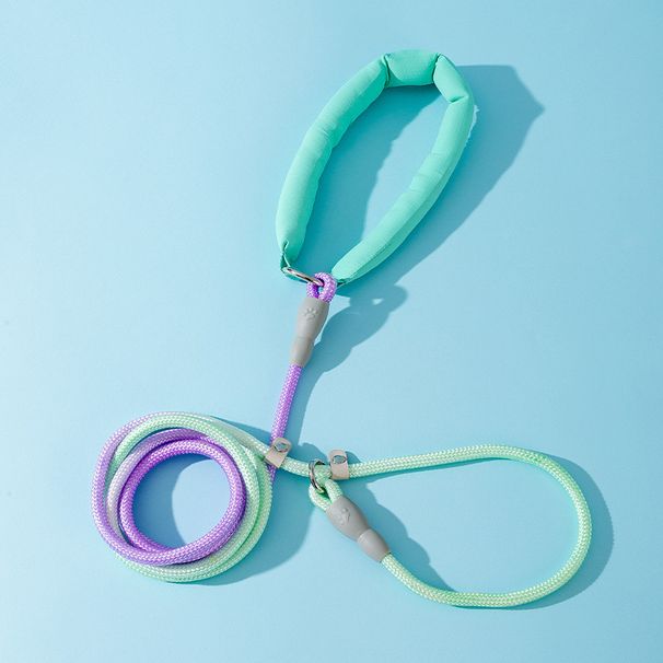 Fantasy Gradual Change Dizzy Dye P Medium And Large Corgi Going Out Towing Rope Does Not Control Escape Pet Dog Supplies_voghion.com