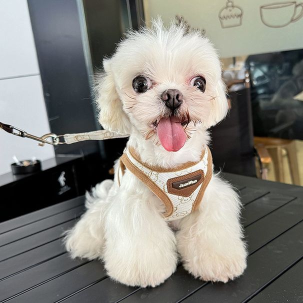 Pettorina per cani e gatti, traspirante, regolabile, stile gilet, per cani di piccola e media taglia, con stampa GG in oro._voghion.com