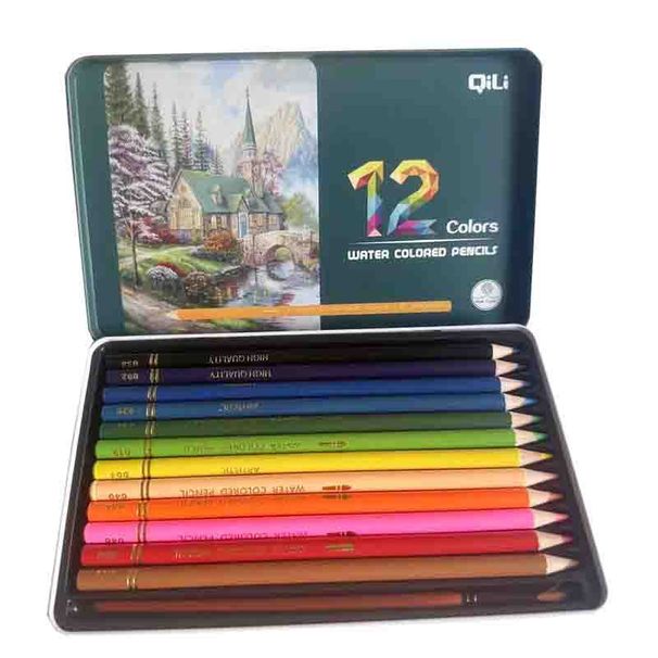 Set di 12 matite colorate idrosolubili - Forniture artistiche di alta qualità per disegno, schizzi e tecniche di acquerello - Custodia portatile in metallo_voghion.com