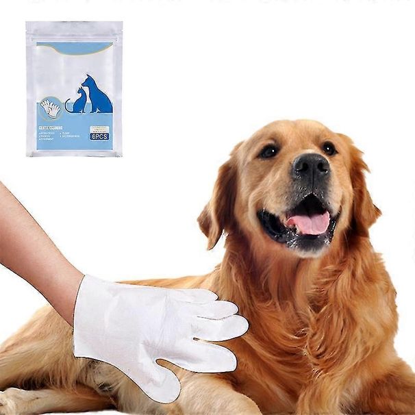 Keine Spülung Haustier Tücher für Haustiere Baden Hund Pflege Katze Waschen 5-Finger-Handschuhe_voghion.com