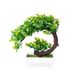 Counter decorations Crescent eucalyptus ornaments new model display simulation flower pots with plants decoration_voghion.com