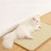 Wooden Cat Scratching Post By PawParty Store_voghion.com