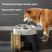 New dog elevated pet drinking and feeding anti knock stainless steel food bowl, cat rice bowl_voghion.com