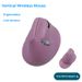 Digitex Digitex In Stock Cross-Border USB 2.4G Wireless Upright Vertical Grip Ergonomic Optical Gaming Mouse_voghion.com