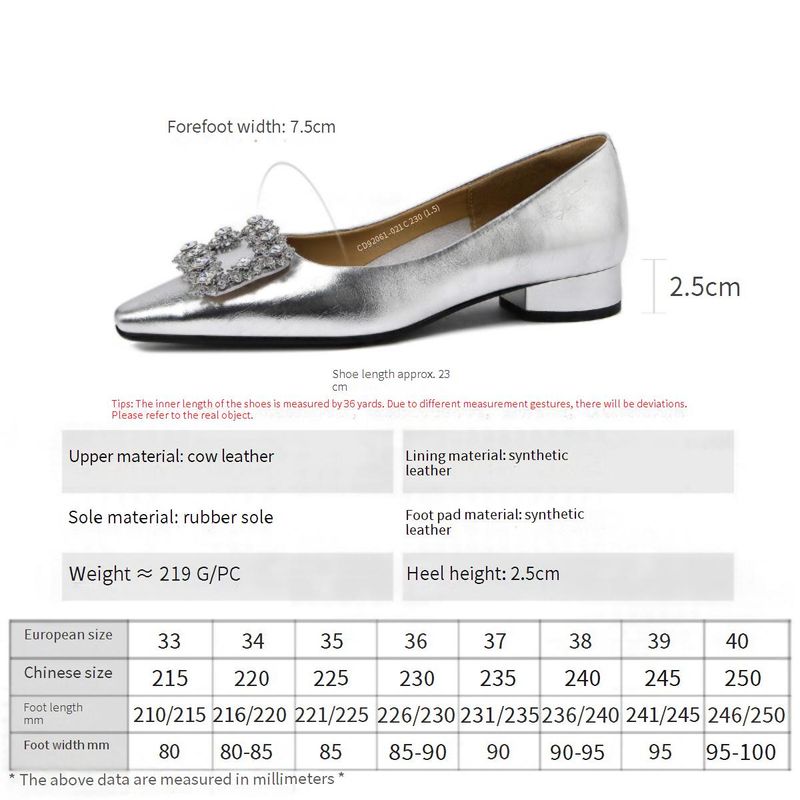 Eleganckie, spiczaste, kryształowe, kryształowe, grube, płytkie, pojedyncze buty Cameido na jesień, uniwersalne, niskie buty do pracy, buty Sabot_voghion.com