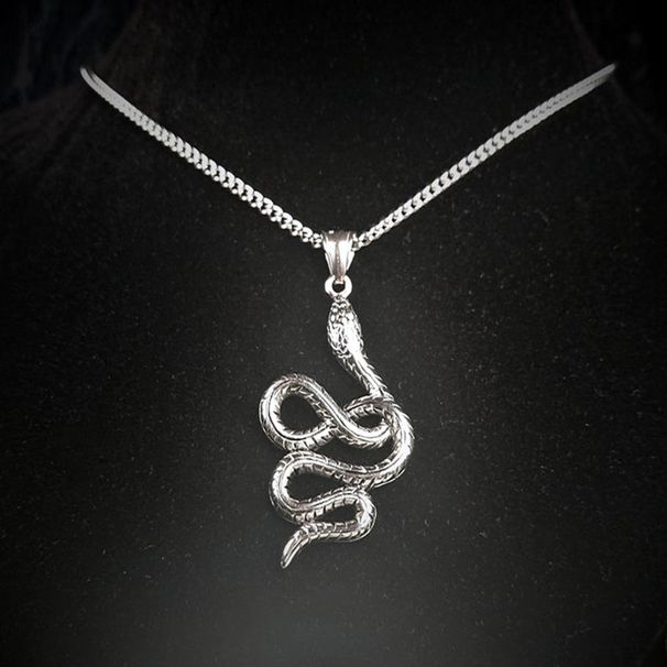 Collane Nuova collana a forma di serpente Semplice regalo di gioielli da donna alla moda in acciaio inossidabile_voghion.com