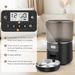 Katze, Apritsce 4L Katzenfutter Automat Mit Edelstahlnapf Und Timer, 1-4 Mahlzeiten Pro Tag Futterspender Katze, Automatic Cat Feeder Für Kleine Und_voghion.com