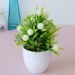 Simulation plant potted green plants Home decoration ornaments 17-mesh star round fruit Mini desktop simulation flower bonsai_voghion.com