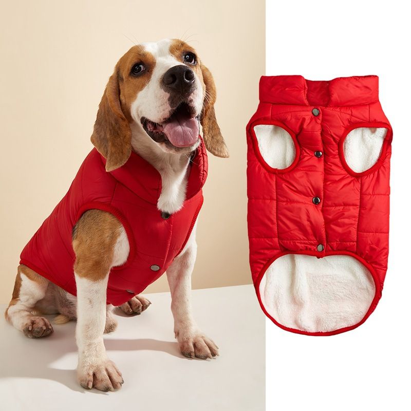 Haustierkleidung Herbst Winter Neue Baumwolle Einfarbig Knopf Warm Kleine Mittelgroße Hunde Golden Retriever Bichon Jacke Weste_voghion.com