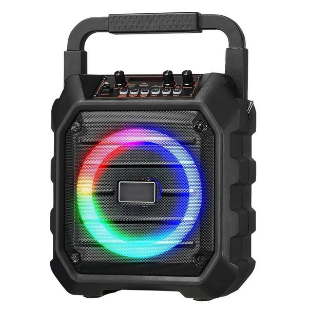 Karaoke Machine For Adults 6.5 In Portable Bluetooth Speaker With 2 Wireless Mic_voghion.com