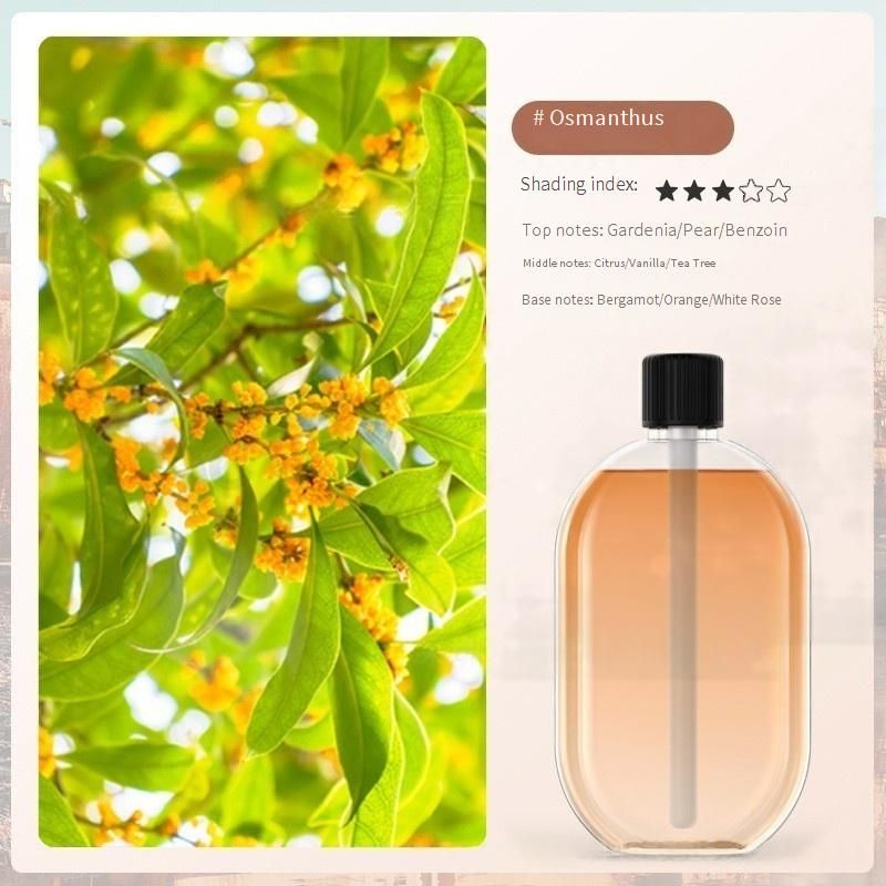 USB Plug-in Automatic Aroma Diffuser For Home & Office - Wooden Design, Quiet Operation, 12H+ Runtime, With 6 Premium Fragrances_voghion.com