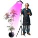 LED Plant Grow Light, Full Spectrum Standing LED Plant Growing Lamps With Timer And Adjustable Tripod Stand,Floor Lights Fit For Indoor Plants Growing_voghion.com