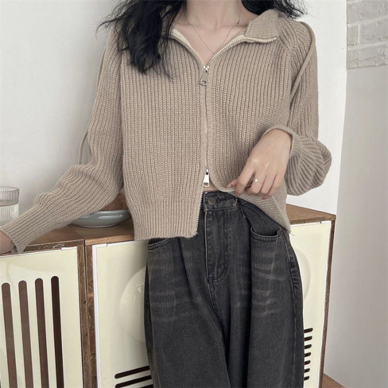Hooded zipper knitted cardigan women's autumn and winter new design sense lazy style sweater jacket small short top_voghion.com