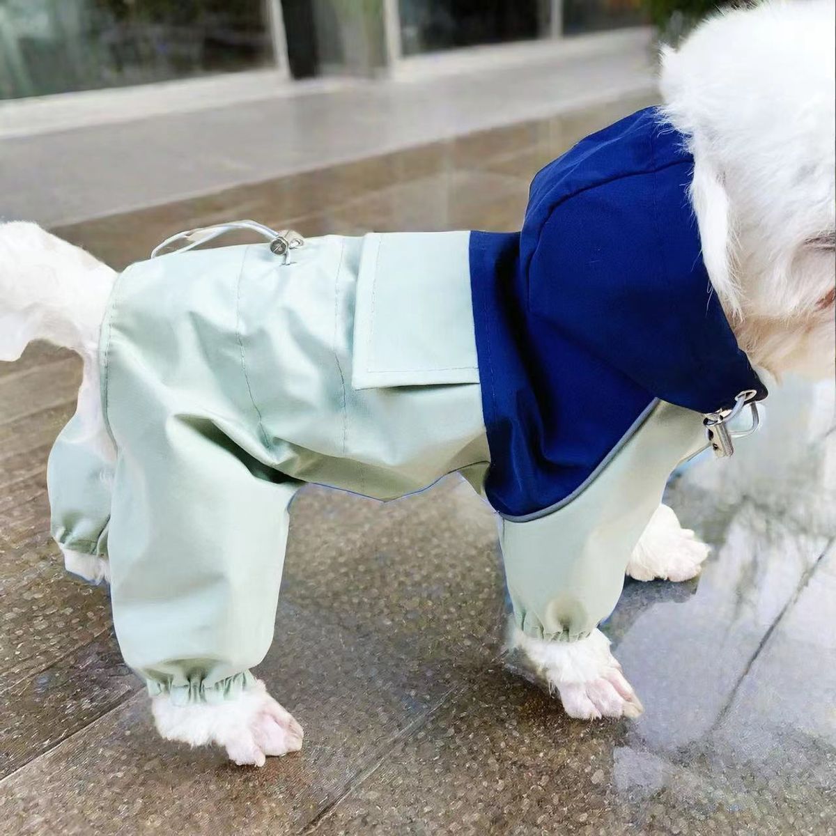 Pet Waterproof Four-Legged Workwear Color Block Windproof Stylish Cat Dog Teddy Bichon Raincoat_voghion.com