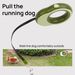 Automatic Retractable With Light, Round Ring Glowing Dog Walking Leash, Pet Leash_voghion.com
