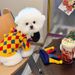 Autumn And Winter Cute Funny Crazy Circus Clown Sweater Halloween Cat Set Pet Dog Clothes_voghion.com