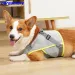 SummerCooling DogVest Nefes Alabilir File Giysiler Küçük Büyük Köpekler İçin Açık Hava Evcil Hayvan Soğutmalı Montlar Ayarlanabilir Köpek Soğutucu Mont_voghion.com