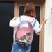 Cat Carrier Backpack Large Capacity Transparent Dog Space Handheld Waterproof Pet Box Bag_voghion.com