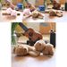 Kawaii Capybara Plush Cute Toy Adorable Soft Stuffed Animal Doll Plush Short_voghion.com
