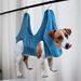 Supplies Dog Hammock Helper Bath Bag Pet Absorbent Towel Grooming Table Nail Clipper_voghion.com