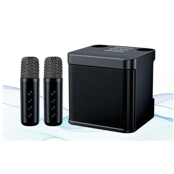 Karaoke Hine mit zwei Mikrofonen Tragbarer Bluetooth-Lautsprecher Studio Subwoofer AUX TF-Karte U-Disk-Player Home Family_voghion.com