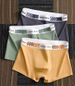 4-teiliges Set mit Boxershorts, große Größe, nahtlos, Baumwollfeile, Herren-Boxershorts, Sommer, dünner Abschnitt, Größe L-6XL_voghion.com
