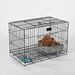 Gabbia pieghevole per gatti, cani di piccola e media taglia con toilette, modello Teddy Pomerania_voghion.com
