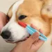 Soft Washable Pet Grooming Tools - Tear Stain Brush, Eye Excrement Comb With Handle, Tear Remover Comb For Cats And Dogs_voghion.com