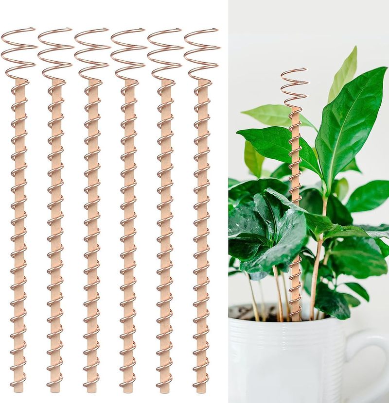 Copper Coil Antenna For Electric Culture Horticulture Plantation Plants Copper Coil Antenna Coil For Electric Culture Vegetables_voghion.com