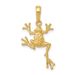 14k Solid Polished Open-Backed Frog Pendant_voghion.com