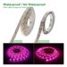 1 stk. 5V USB LED-vekstlys fullspektret vekstlys vekstlys blomsterdrivhustelt hydroponisk vekstlys_voghion.com