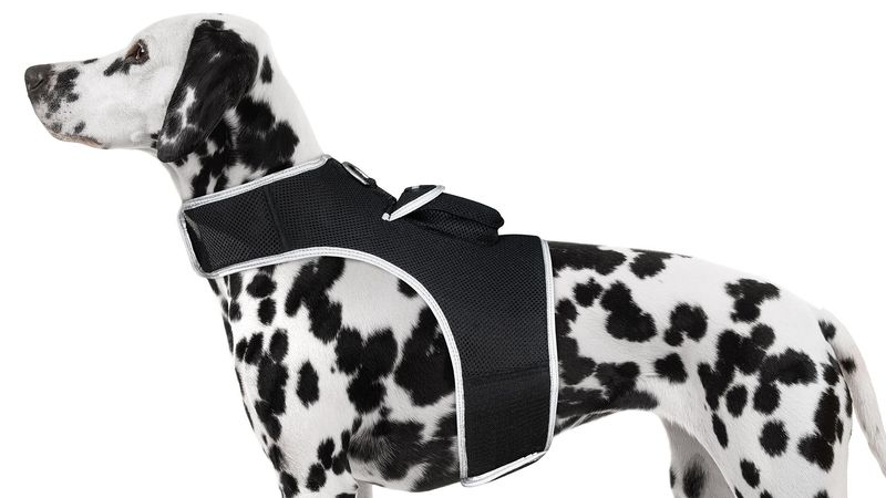 Rechargeable Mini GPS Realtime Pet Tracking Collars for Hunting Dogs Size:M_voghion.com