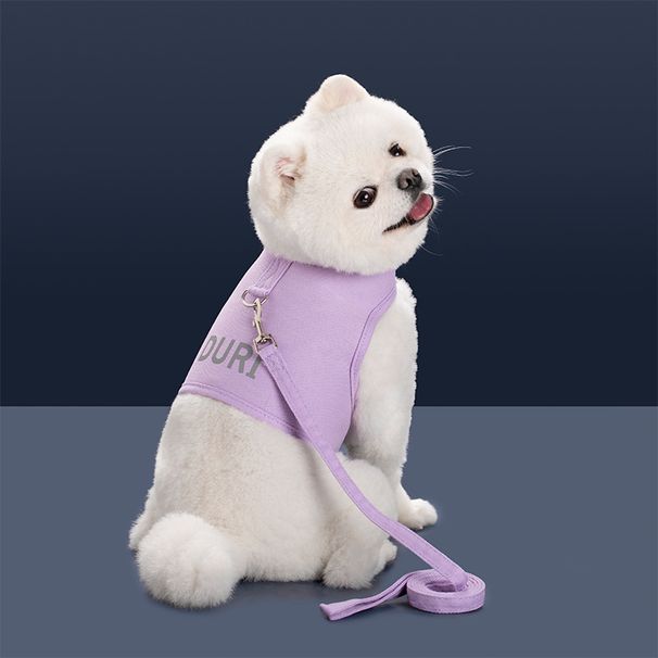 Arnés de pecho para gatos antiescape, transpirable, para todas las estaciones, correa para pasear perros_voghion.com