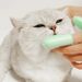 Cat&Dog Super Soft Double Finger Toothbrush Pet Teeth Clean Bad Breath Care TPR Tooth Brush Clean Tool Dog Toothbrush Accessories_voghion.com