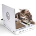 Laptop Spielkonsole Butler Computer Form Kreative Internet Promi Katze Scratchi Bord Verschleiß-Beständig Und_voghion.com