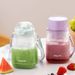 Babystar Portable Juicer Small Rechargeable Outdoor Juice Maker Ice Crusher Cup For One Person_voghion.com