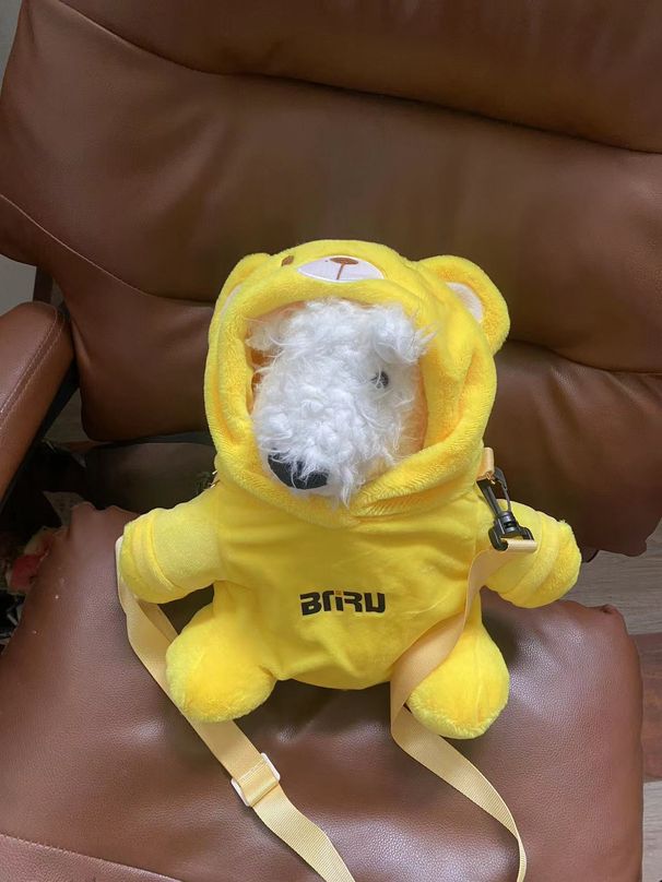 Kopfleck süße Tasche einzelne Schulter Katze Crossbody Haustier tragbare Reise Bär Rucksack_voghion.com