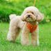 Summer Corduroy Leash Small Medium Dogs, Breathable For Puppies And Cats, Vest, Walking Harness By PawParty Store_voghion.com