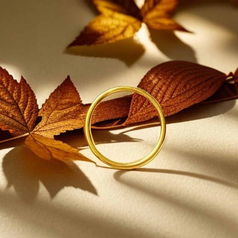 Titanium Steel Starry Sky Matte Plain Band Ring Fashionable High-end Autumn Winter New Couple Rings_voghion.com