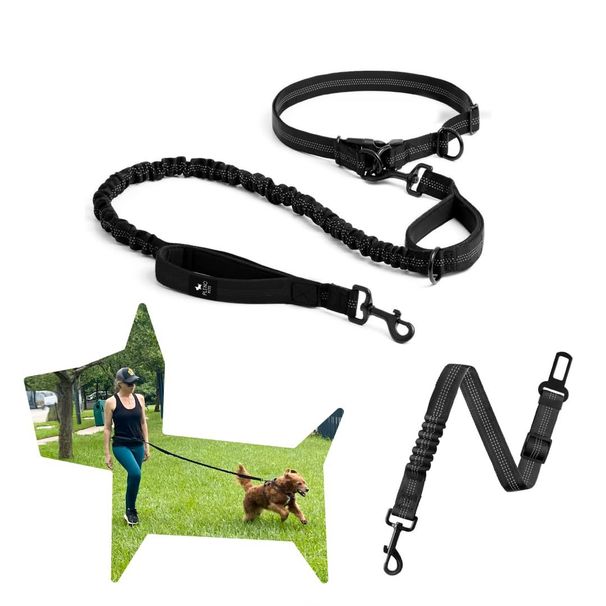 Outdoor Running Reflective Dual Retractable Dog Chain Leash Pet Supplies_voghion.com
