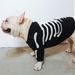 Trendy Brand Halloween Skull Autumn Winter Warm Core-spun Yarn Pullover Cute French Bulldog Pug Pet Sweater Dog Clothes_voghion.com