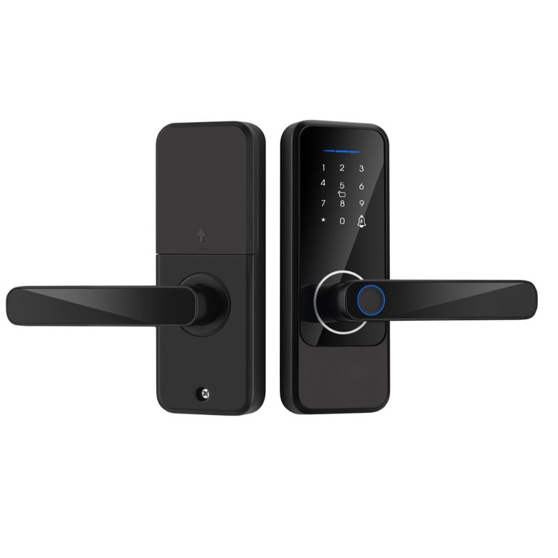 Hot Selling One Grip Indoor Door Graffiti Tuya All App Control With Fingerprint Password Card Smart Lock_voghion.com